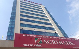 Agribank điều động, bổ nhiệm loạt lãnh đạo trụ sở chính