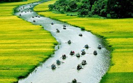 Việt Nam trong con mắt du khách quốc tế