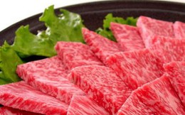 Thịt bò siêu đắt của Nhật đi vòng qua Campuchia để vào Trung Quốc như thế nào?