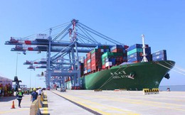 Bà Rịa - Vũng Tàu gia hạn dự án Cảng Quốc tế Sao Biển hơn 4.500 tỷ
