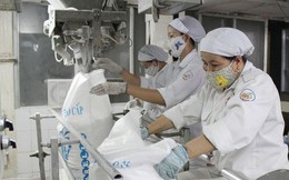 Đường bắp chặn đứng đường Việt
