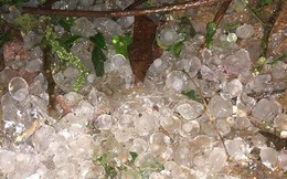 Clip gây xôn xao: Cơn dông "trút theo" mưa đá trắng trời ở Mộc Châu