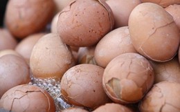 Đua nhau ăn trứng ấp dở để bồi bổ cơ thể, chữa khỏi đau đầu: Chuyên gia khẳng định "phản khoa học, nguy hại sức khỏe"