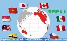 Việt Nam trông đợi gì ở Hiệp định CPTPP sắp được ký?