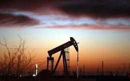 IEA dự đoán kịch bản ác mộng đối với OPEC