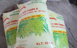 Doanh nghiệp làm giả nhãn hiệu lúa giống bán cho nông dân