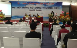 ĐHCĐ Lideco: Đẩy mạnh đầu tư bất động sản tại Quảng Ninh