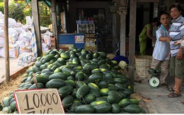 Nông sản Việt thua trên “sân nhà” vì người tiêu dùng kém tin tưởng
