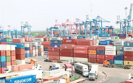 Bán đấu giá hàng chục container hàng nhập khẩu tại Cát Lái