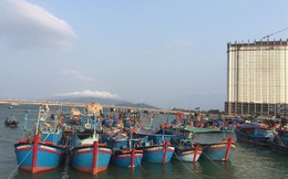 Hàng thủy sản Việt Nam xuất khẩu chứa kim loại nặng tăng đột biến