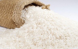 Giá gạo xuất khẩu cao nhất 4 năm