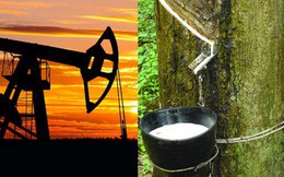 Thị trường cao su thiên nhiên sẽ hưởng lợi nhờ giá dầu tăng