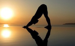 Chào mặt trời: Chuỗi 12 động tác yoga mang lại ít nhất 8 lợi ích tuyệt vời cho sức khỏe