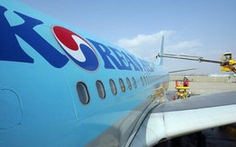 Hàn Quốc tịch thu hàng lậu nghi của gia đình Chủ tịch Korean Air