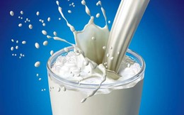 Giá sữa thế giới đã tăng 15,7% kể từ đầu năm, dự báo tăng tiếp