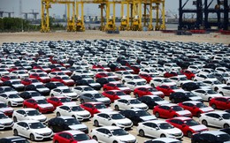VAMA: Hoàn toàn không thể nhập khẩu ô tô từ Nhật Bản!