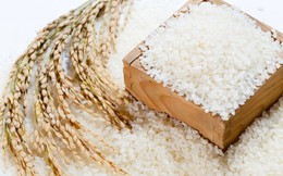 Xuất khẩu gạo tăng mạnh