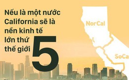 [PHOTO STORY] California với nền kinh tế nghìn tỷ sẽ tách làm 3 sau tháng 11?