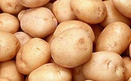 Phát triển sản xuất khoai tây theo xu hướng tiêu dùng