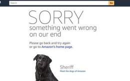 Website của Amazon bị sập do đợt sale quá khủng