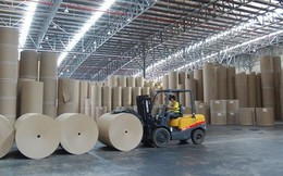 Giá giấy tăng mạnh, Đông Hải Bến Tre (DHC) báo lãi gấp 2,6 lần so với cùng kỳ năm trước