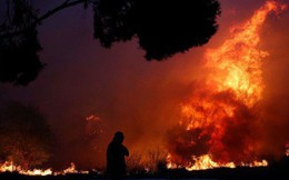 Cháy rừng Hy Lạp: Hàng chục người vượt không nổi biển lửa, chết gục trong sân nhà