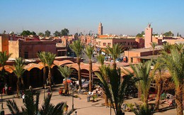 Bộ Công Thương khuyến cáo các doanh nghiệp xuất khẩu không giao dịch với công ty tại Maroc