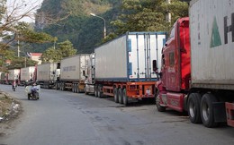 Lạng Sơn: Ùn ứ hàng xuất khẩu tại cửa khẩu quốc tế Hữu Nghị