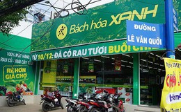 Thế giới Di động sắp đưa Bách Hoá Xanh về miền Trung, lợi nhuận 7 tháng tăng trưởng 37%