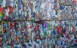 Doanh nghiệp nhựa kêu có thể phá sản do container phế liệu "nằm" cảng