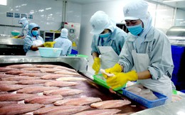 Nhiều tờ báo tại Rumani đưa thông tin bất lợi cho cá tra Việt Nam