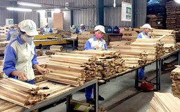 Mỹ tăng cường nhập gỗ và sản phẩm gỗ của Việt Nam