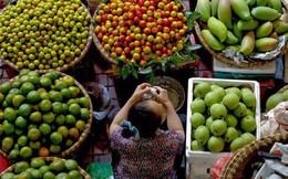 Ngành rau củ quả Việt Nam nhìn từ "đặt hàng" của Thủ tướng