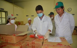 Phát hiện 51 cơ sở thực phẩm không phép tại huyện Thạch Thất