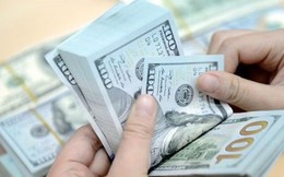 Siết tín dụng ngoại tệ: Ngân hàng nào đang “ôm” cho vay USD nhiều nhất?