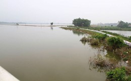 Hà Nội: Nước sông Bùi rút sâu, người dân ra đê câu cá