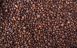 Giá cà phê thế giới tiêu cực, giá cà phê trong nước giảm xuống mức thấp nhất 30 tháng