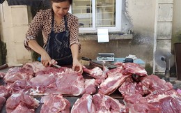 Dịch tả lợn Châu Phi chưa vào, trang trại đã “ghim hàng”, giá thịt lợn “phi mã”