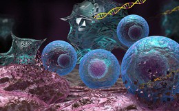 Kỹ thuật chỉnh sửa gen CRISPR sẽ khiến tế bào ung thư không còn bất tử