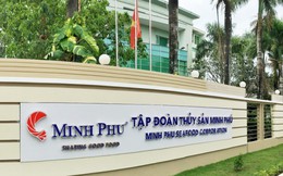 "Vua tôm" Minh Phú: Xuất khẩu 8 tháng "phấn khởi" với 800 triệu USD, mục tiêu vượt mốc 1.000 tỷ lợi nhuận đến cuối năm