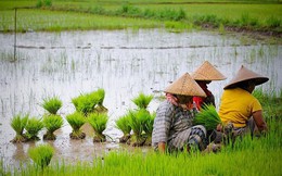 Việt Nam và 7 nước ASEAN có nền kinh tế mới nổi vượt trội nhất thế giới