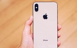 iPhone XS Max đầu tiên về Việt Nam trước cả khi Apple mở bán, giá từ 33,9 triệu đồng