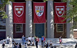 Đại học Harvard huy động được 9,6 tỷ USD trong một chiến dịch