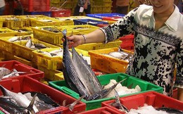 Cá, tôm, mực... Việt Nam dính ‘đòn đau’ vì thẻ vàng EU