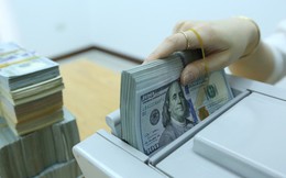 Tỷ giá trung tâm tiếp tục lập đỉnh mới, USD ngân hàng lên sát 23.400 đồng