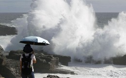 Siêu bão Jebi sắp đổ vào Nhật, hàng trăm chuyến bay bị hủy