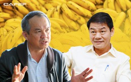 Thaco chính thức đưa người vào "ghế nóng" HAGL Agrico