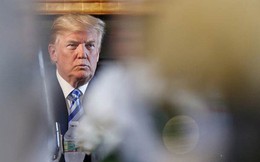 Hùng hồn dọa rút khỏi WTO, ông Trump đang "cứa" con dao hai lưỡi vào nền kinh tế Mỹ
