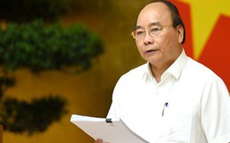 Thủ tướng chỉ đạo xác định lại tỉ lệ cổ phần, quản lý cảng Quy Nhơn