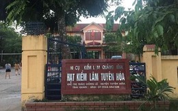 Hạt trưởng Kiểm lâm ở Quảng Bình bị đánh tại trụ sở
